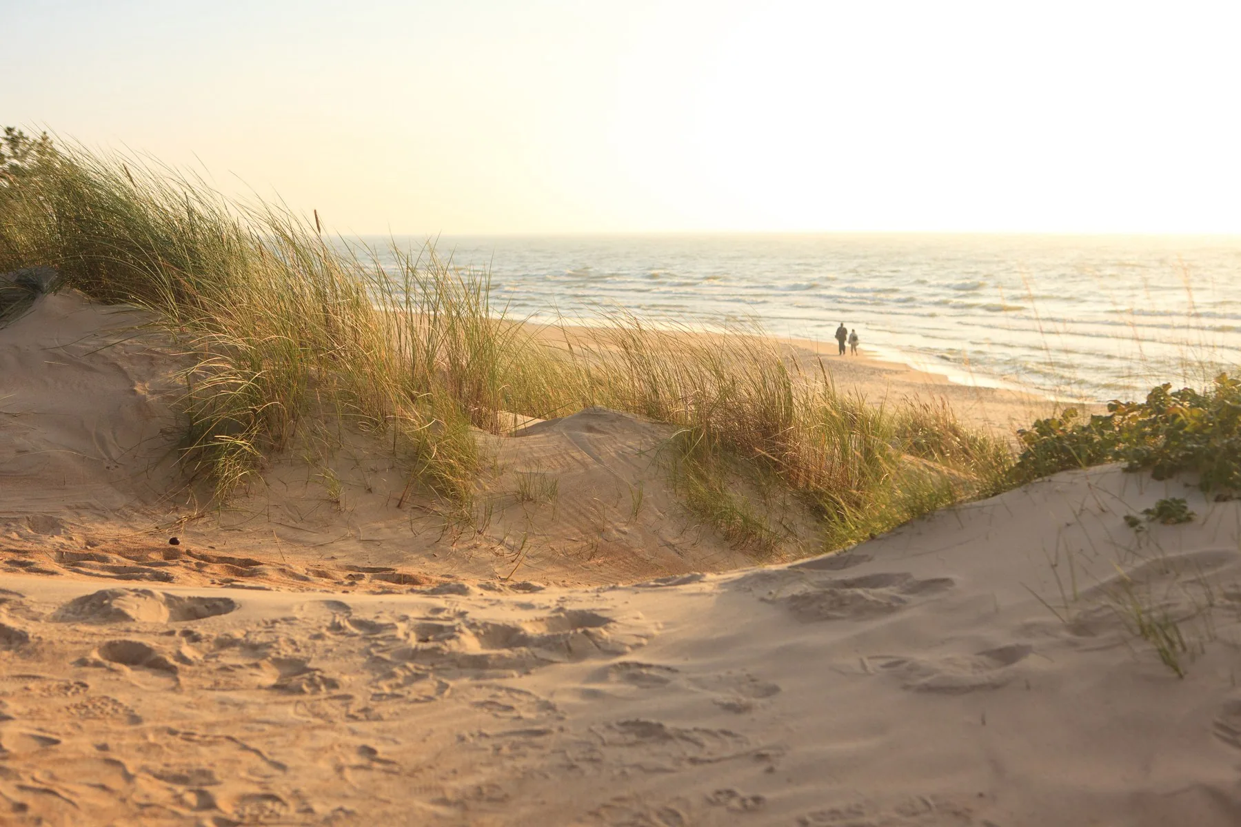 A sandy path through dune grass opening onto a turquoise Florida beach